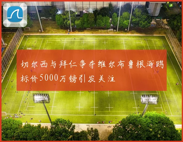 切尔西与拜仁争夺维尔布鲁根海鸥标价5000万镑引发关注