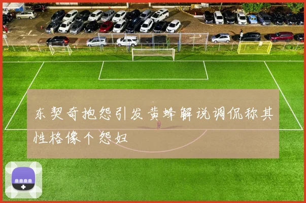 东契奇抱怨引发黄蜂解说调侃称其性格像个怨妇